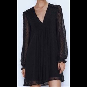 Zara Swiss Dot Mesh Dress